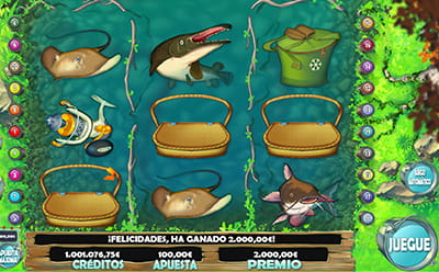 Activación de la función del Bonus de Trilero en la slot RF Big Catch.