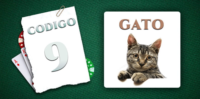 Palabra codificada por 9 es 'Gato'