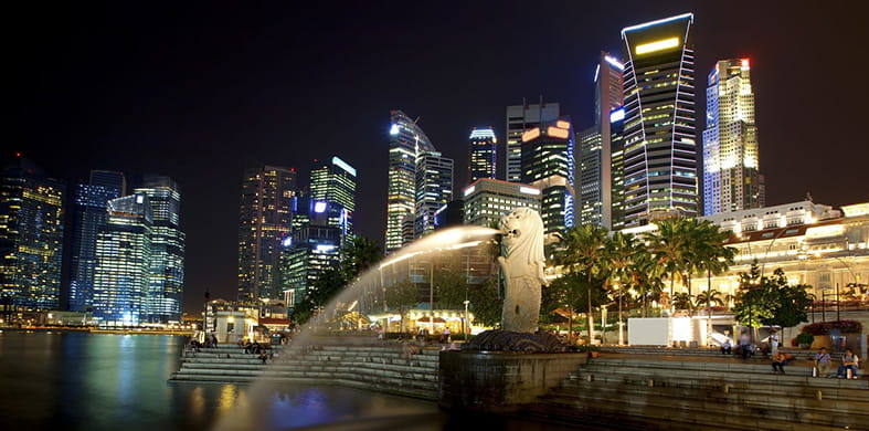 Singapur: un mercado creciente