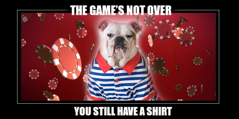 El juego no ha terminado: Meme con el perro jugador de póker.