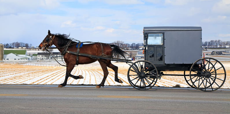 Un coche tirado por caballo en la zona rural de Lancaster, Pensilvania